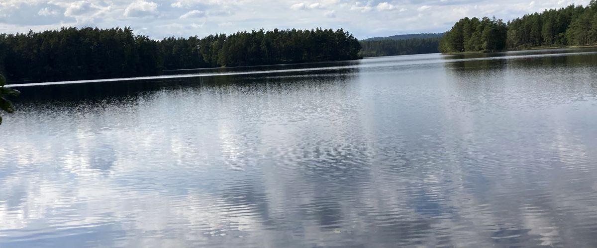 Hjorten från östra sidan