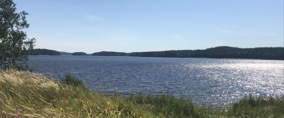 Alkvettern - Image 5