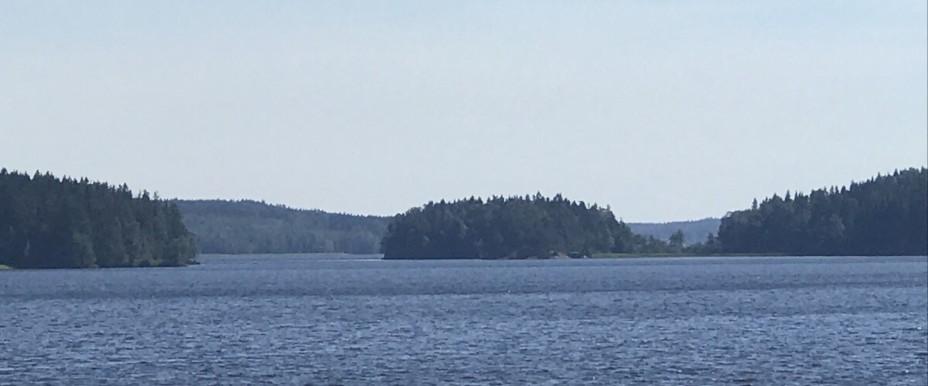 Alkvettern - Image 6
