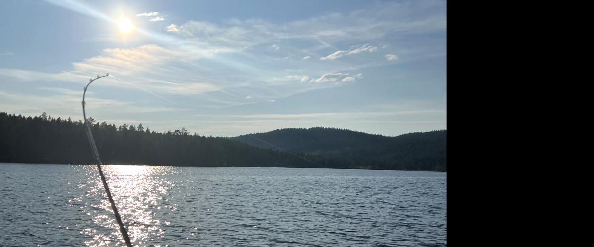Racksund - Östansjö - Image 2