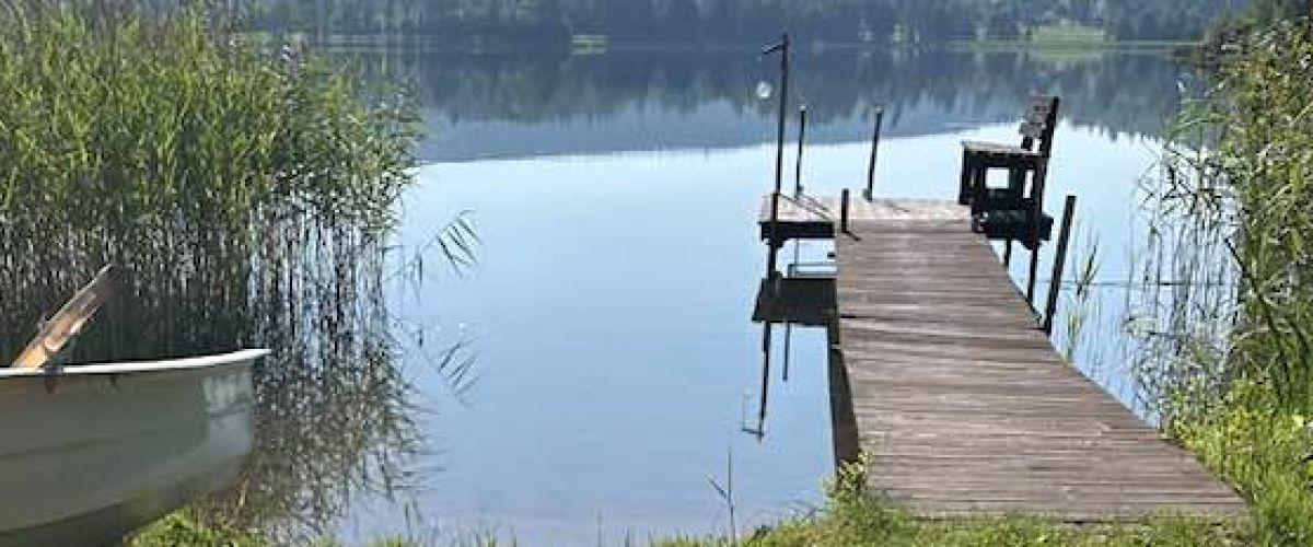 Photo of MILSBOSJÖARNAS FVO