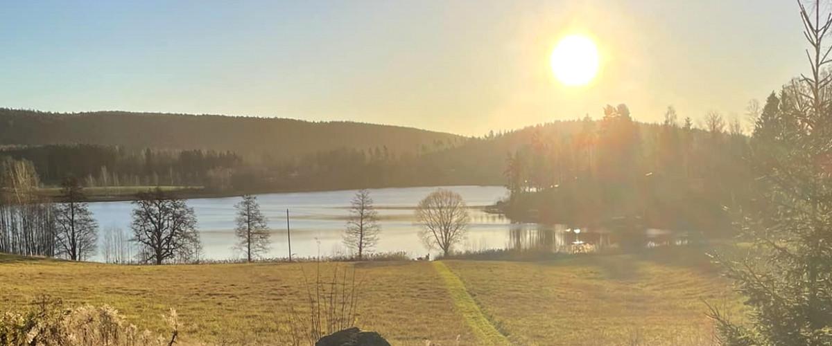 MILSBOSJÖARNAS FVO - Image 2
