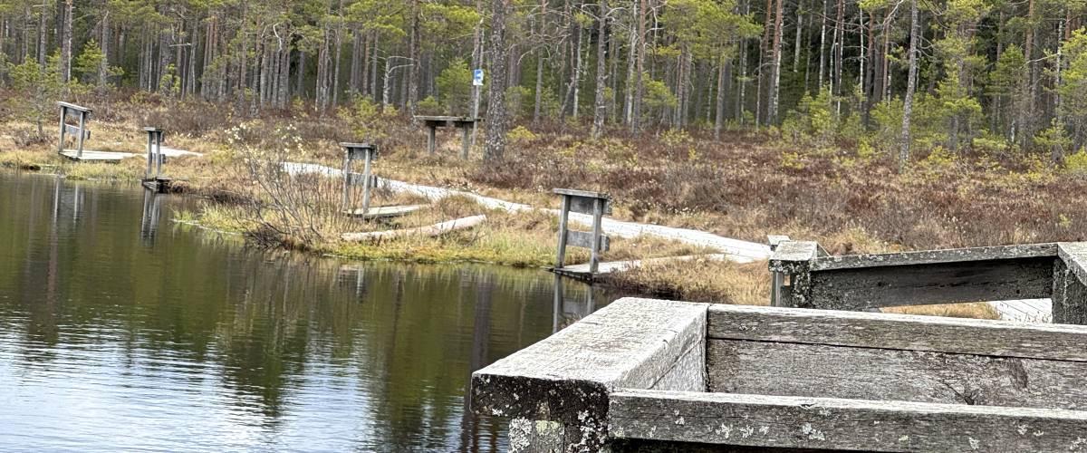 Majatjärn