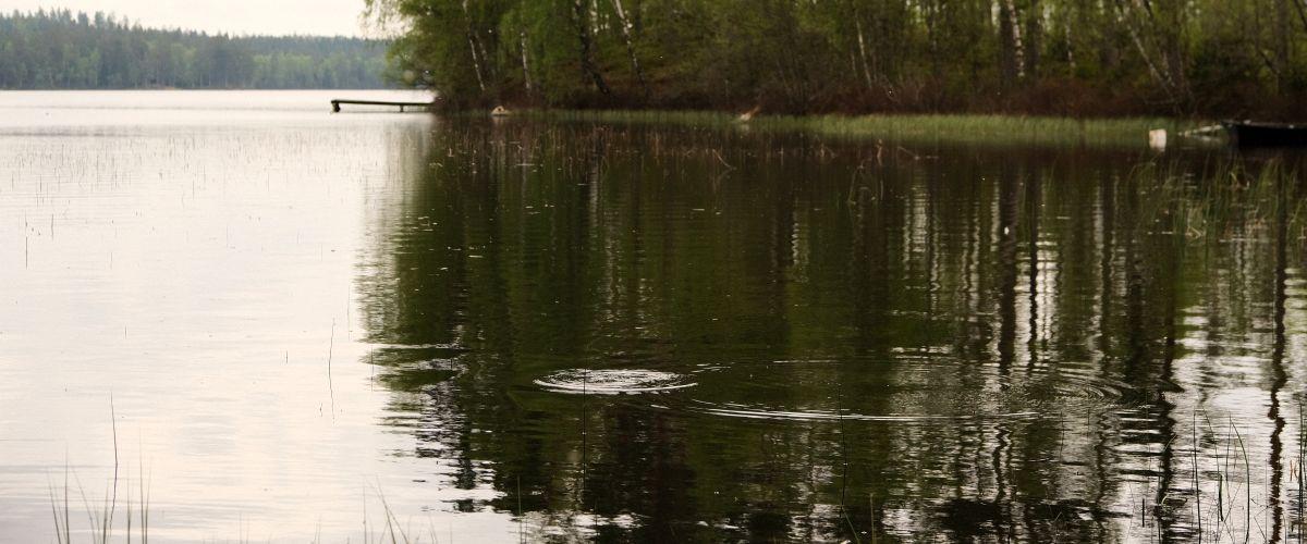 Kalvsjön (Värnamo) - Image 6
