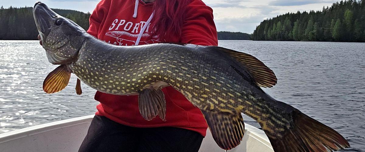 gädda1