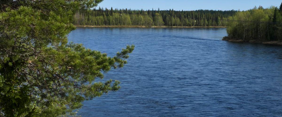 Kääntöjärvi, del av Kalix älv, Vuosko, Välijoki - Image 3