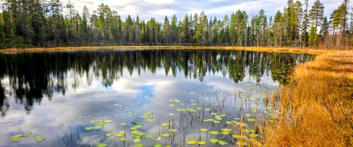 Kääntöjärvi, del av Kalix älv, Vuosko, Välijoki - Image 2
