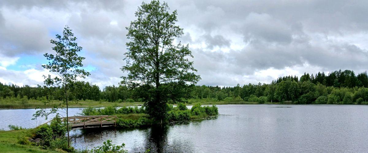 Långasjön - Image 4
