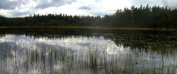 Feresjön, Kiasjön mfl. - Image 3