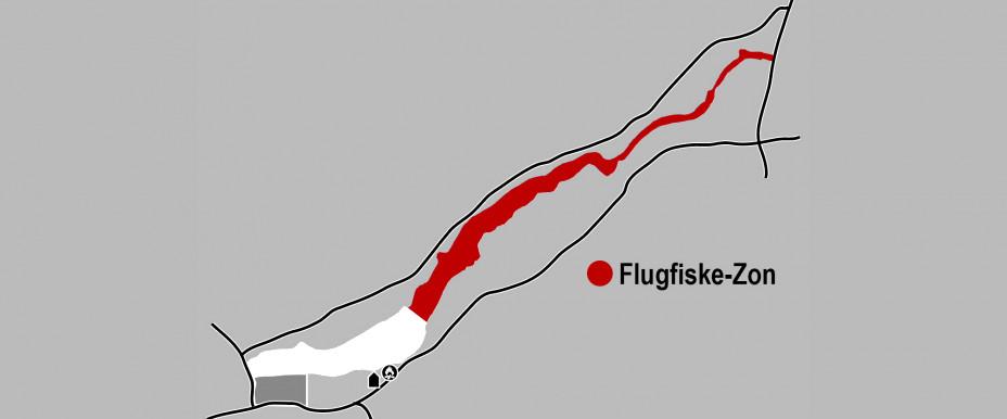 Flugfiske-zon