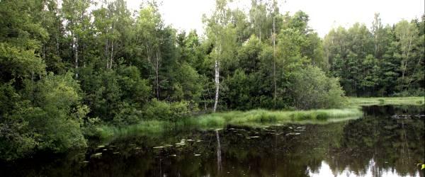 Photo of Snärjebäcken