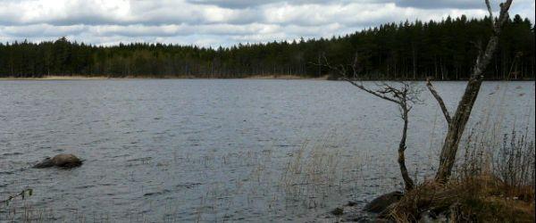 Ärtingens i Borås FVOF - Image 1