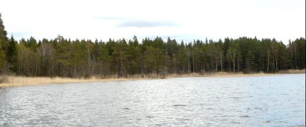 Ärtingens i Borås FVOF - Image 6