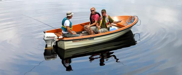 Askesjön, Björkelången, Långtjärn Boda m.fl - Image 1