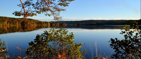 Askesjön, Björkelången, Långtjärn Boda m.fl - Image 4