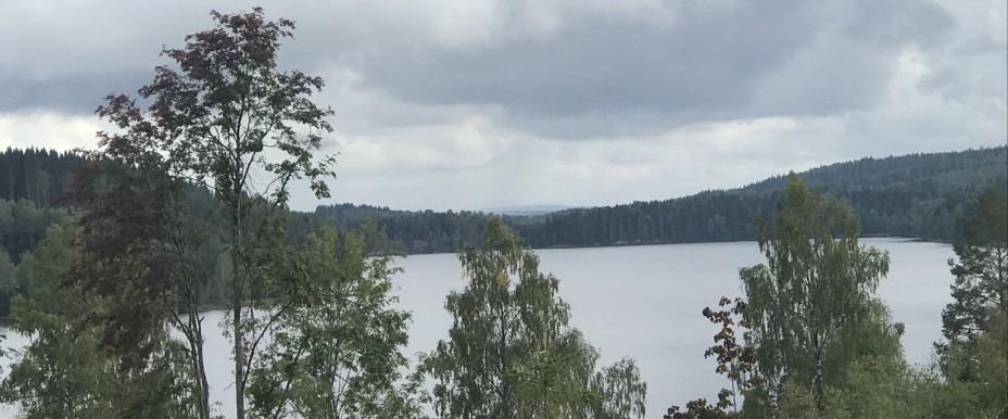 Fjällsjön, Öjenässjön mfl - Image 4