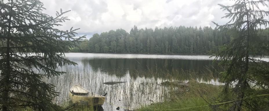 Fjällsjön, Öjenässjön mfl - Image 1
