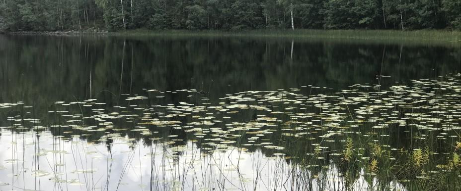 Fjällsjön, Öjenässjön mfl - Image 5