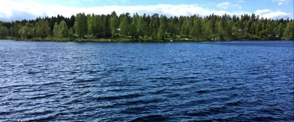 Säljen. - Image 3