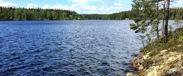 Säljen. - Image 4