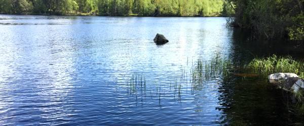 Säljen. - Image 5