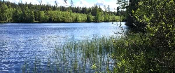 Säljen. - Image 6