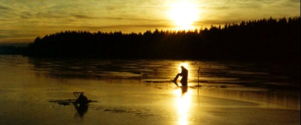 Skärvsjön - Image 4