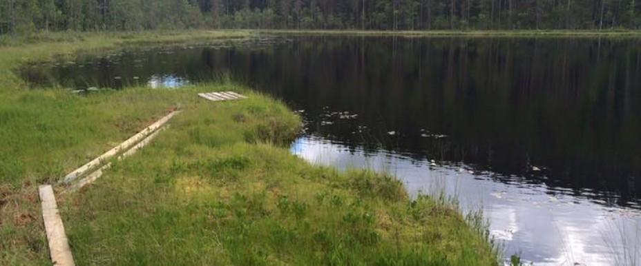 Dellensjöarna, Svågan mfl - Image 2