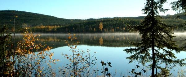 Graningesjön, Grössjön, Stor-Häggsjön Lövsjön och Höån. - Image 2