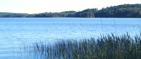 Östra Örten - Image 2