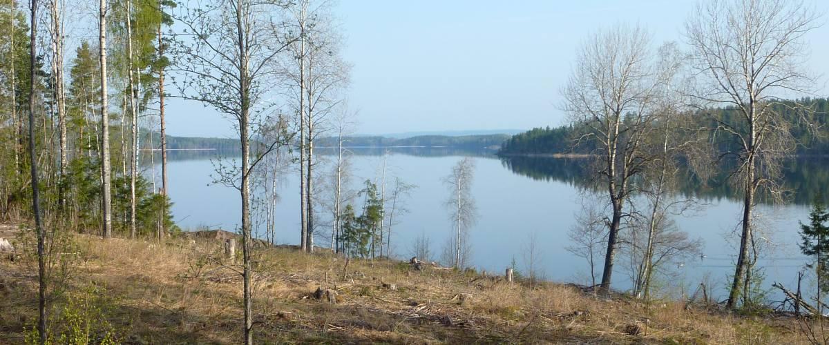 Söljeflagan