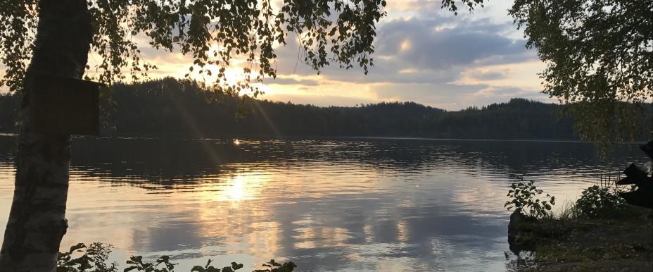 Björkern - Image 10
