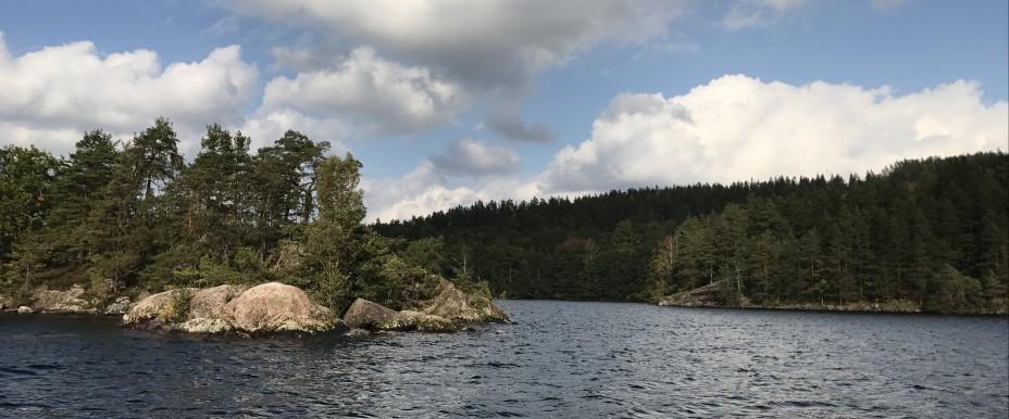 Björkern - Image 4
