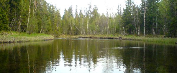 Liten, Åreälven m fl vatten - Image 3