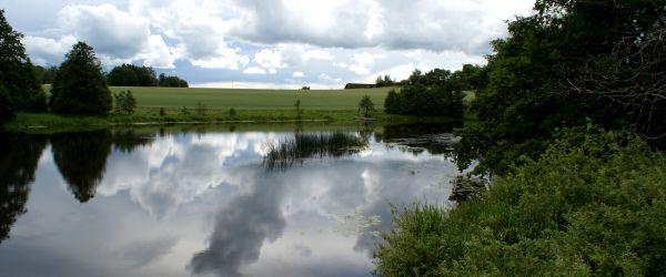 Svartån (Linkelösa-Odensfors) - Image 1