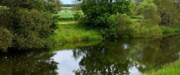 Svartån (Linkelösa-Odensfors) - Image 3