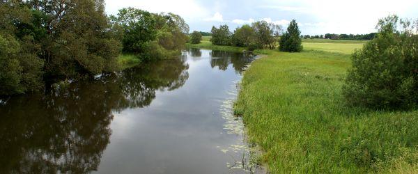 Svartån (Linkelösa-Odensfors) - Image 5