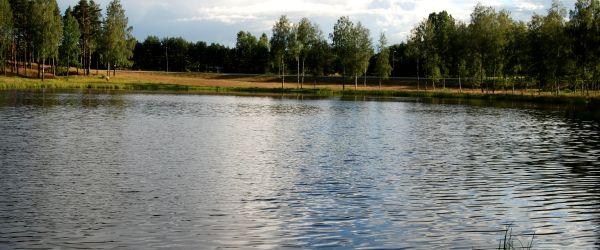 Ljungsjön - Image 2