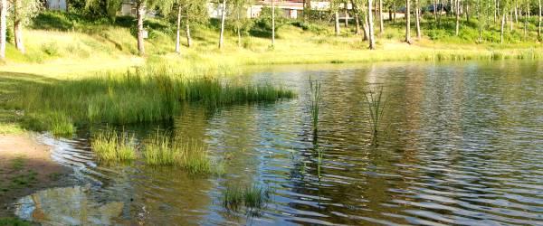 Ljungsjön - Image 3