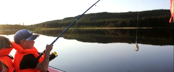 Hornsjön, Indalsälven, Mörtsjöarna mfl - Image 1