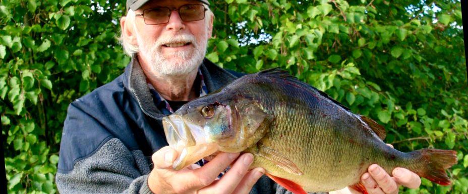 1,9 kg Abborre från Östra Ecklingen