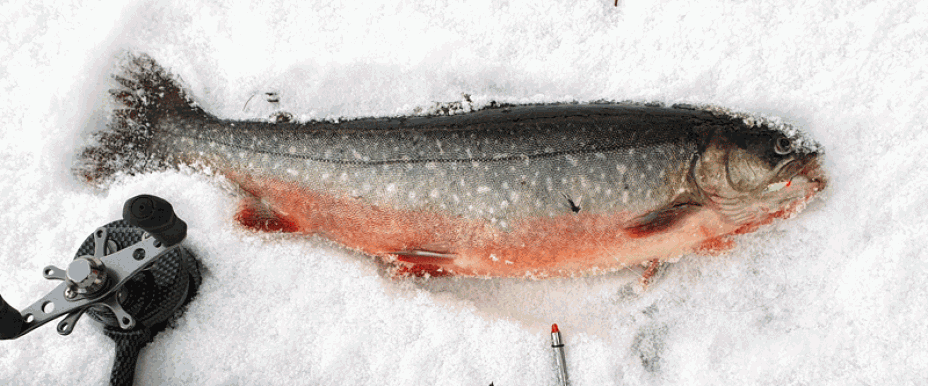 Test av Jämtlands Fiskeverkstads Superloppan