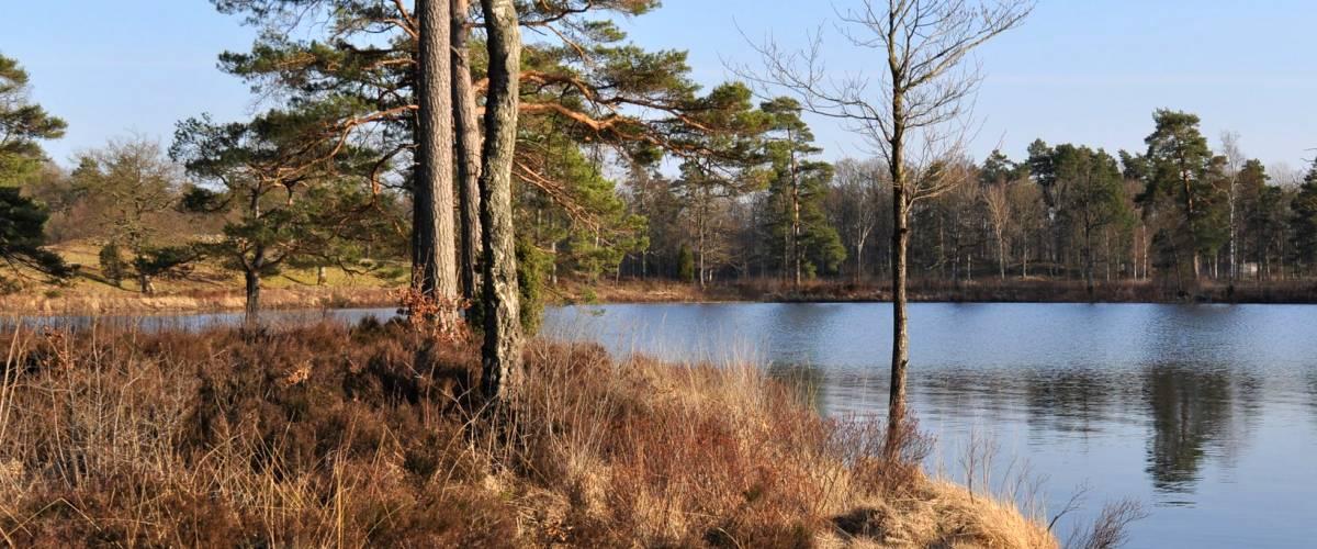 Lokasjön