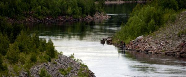 Övre Ångermanälven och Mesjöområdet - Image 2