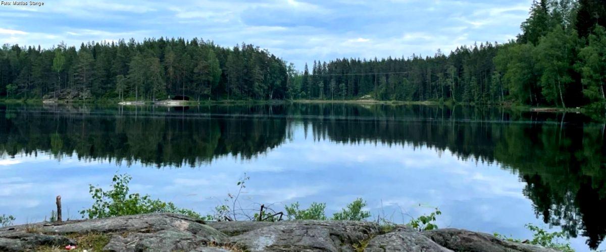 Stora Abborrtjärn, Lilla Abborrtjärn - Image 13
