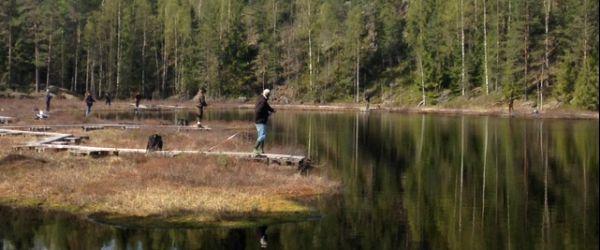 Stora Abborrtjärn, Lilla Abborrtjärn - Image 10