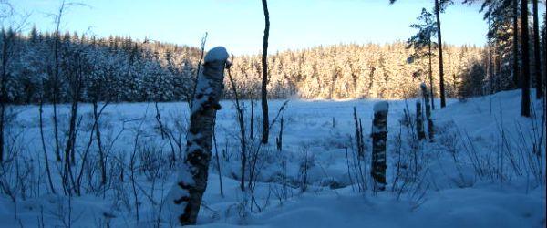 Stora Abborrtjärn, Lilla Abborrtjärn - Image 8