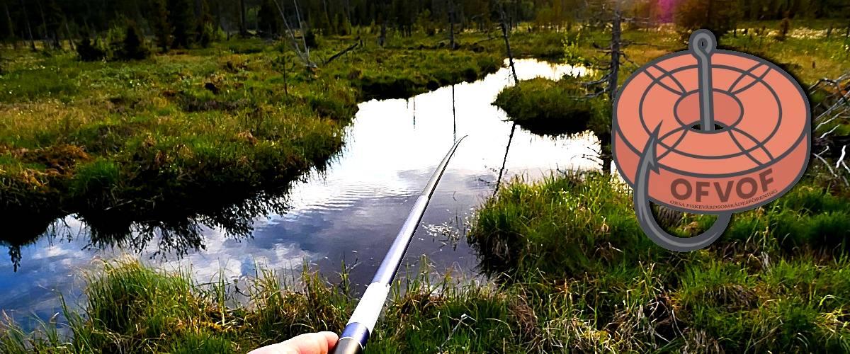 Myggsjöån
