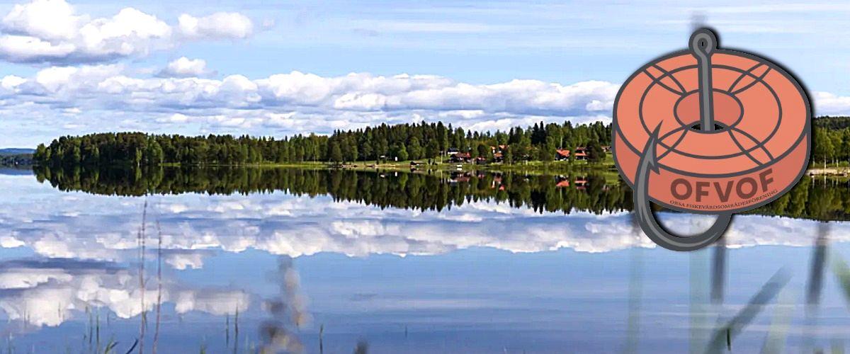 Orsasjön