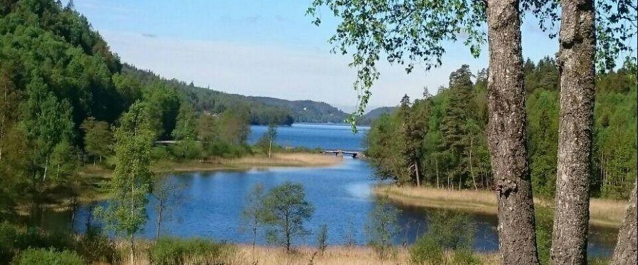 Ingsjöarna & Oxsjön - Image 2